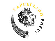 CAPPELLARO PNEUS