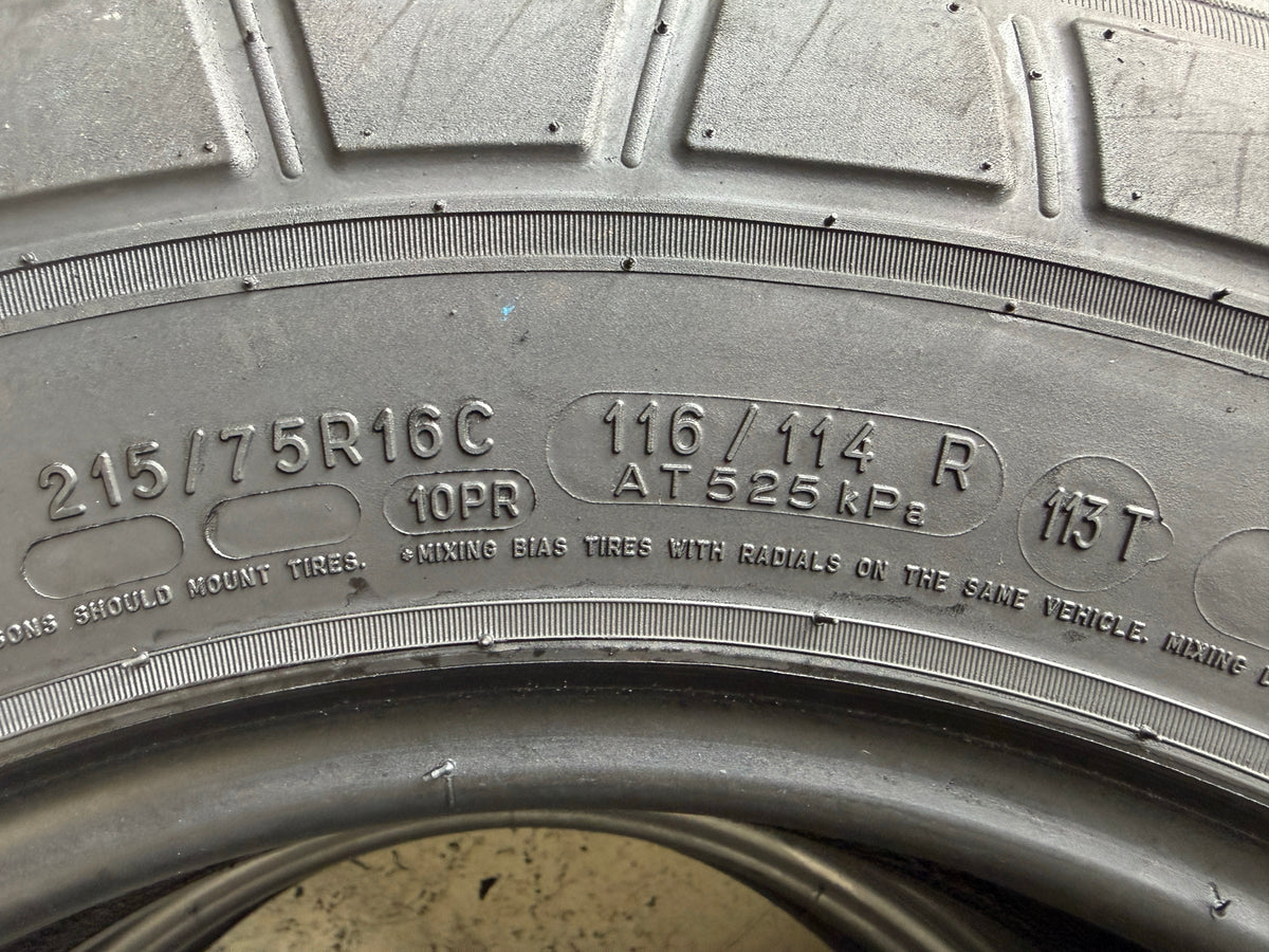 Usato: 2 Pneumatici Michelin Agilis 3 215/75R16C 116/114R 10PR Estivi 80% Residui